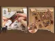 Magic Pharmacist DIY Book Nook Kit