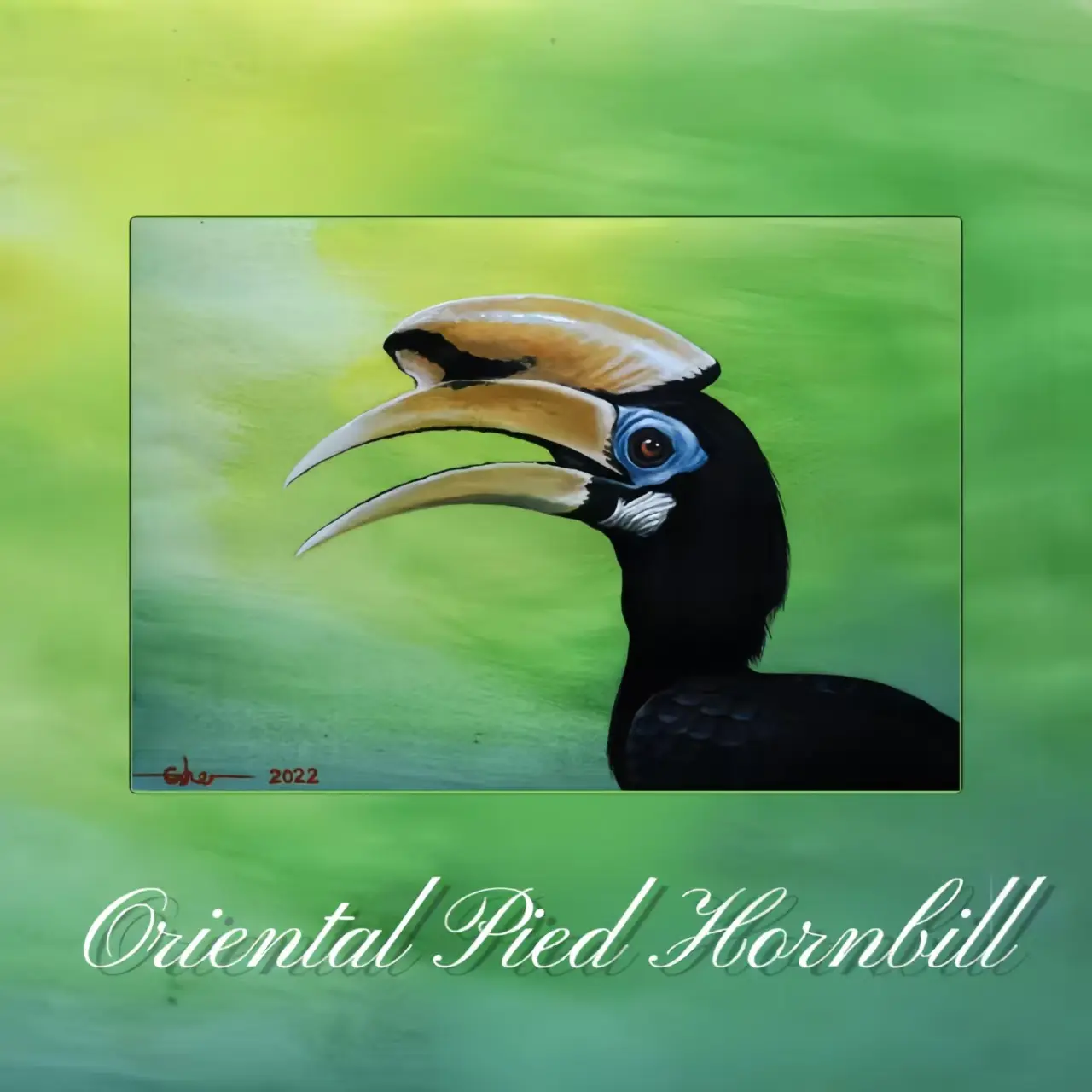 Postcards - Malaysia's Birds Collection (Series 3)