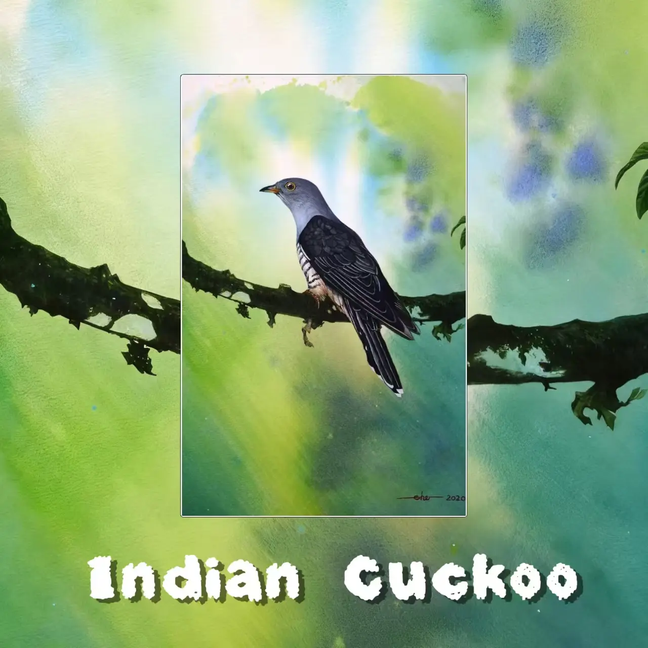 Postcards - Malaysia's Birds Collection (Series 1)