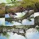 Postkarten - Malaysias Vogelkollektion (Serie 3)