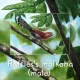 Postkarten - Malaysias Vogelkollektion (Serie 3)