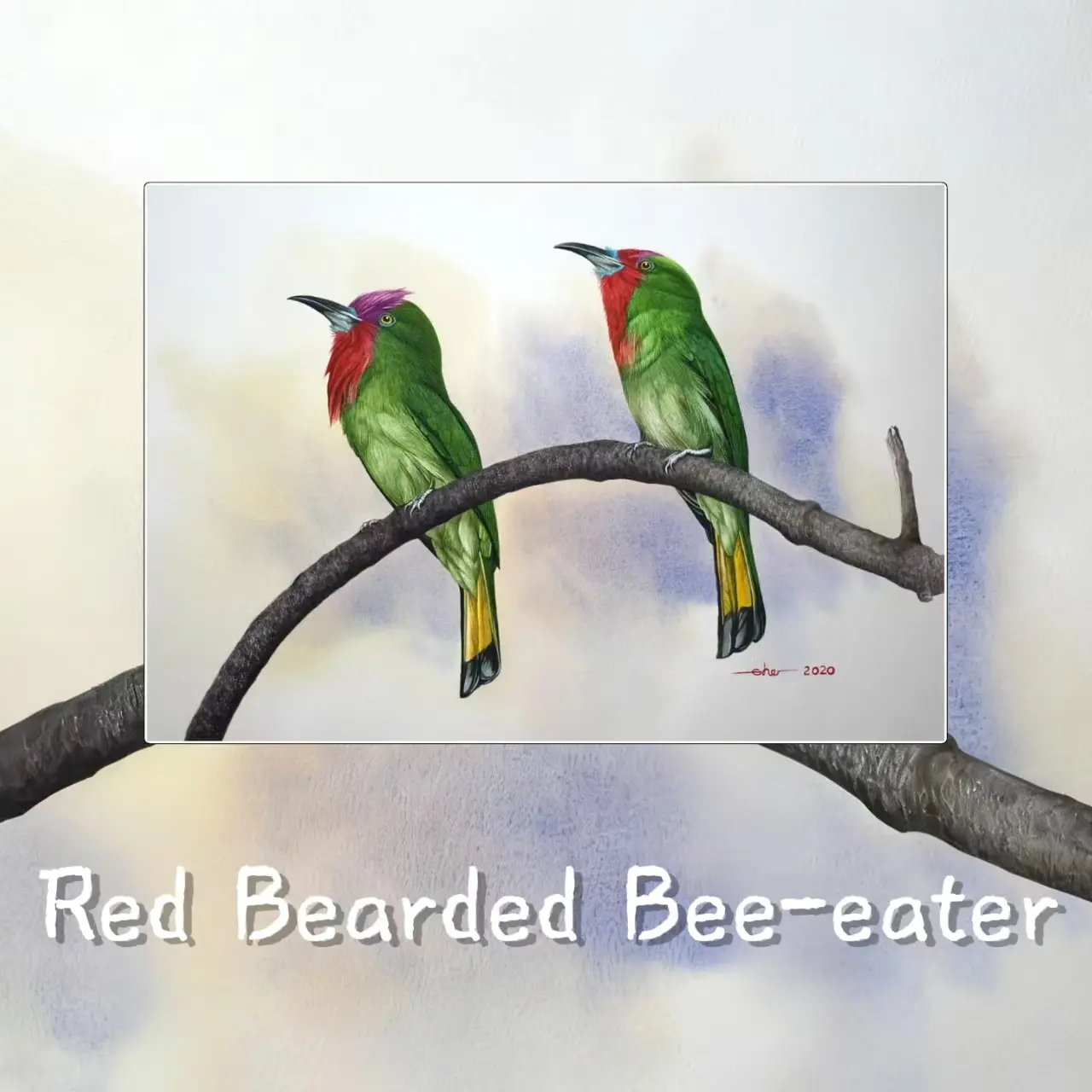 Postcards - Malaysia's Birds Collection (Series 3)