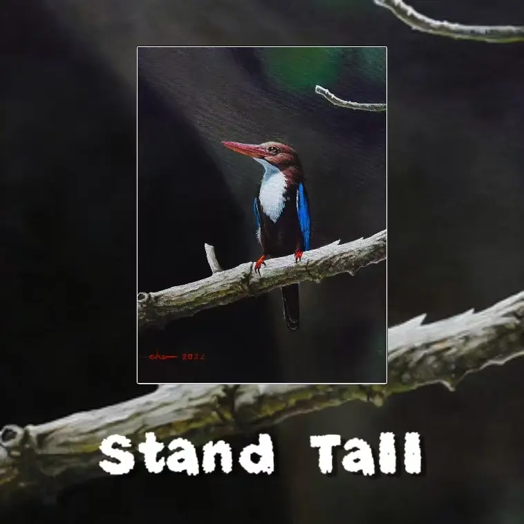 Postcards - Malaysia's Birds Collection (Series 1)