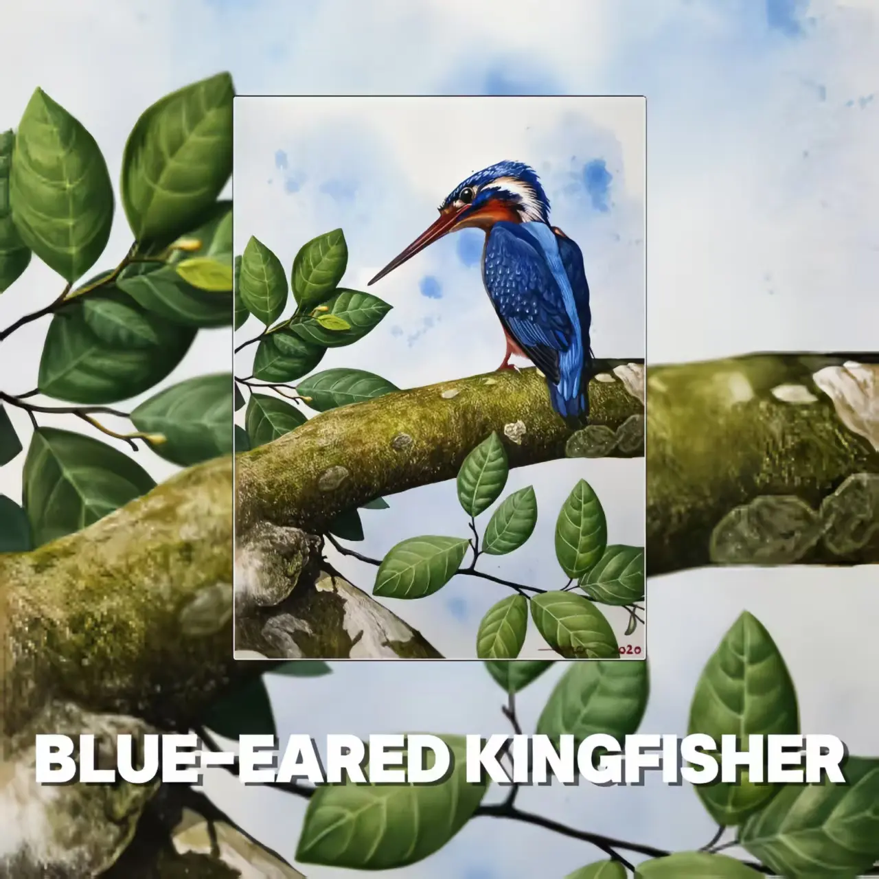 Postcards - Malaysia's Birds Collection (Series 2)