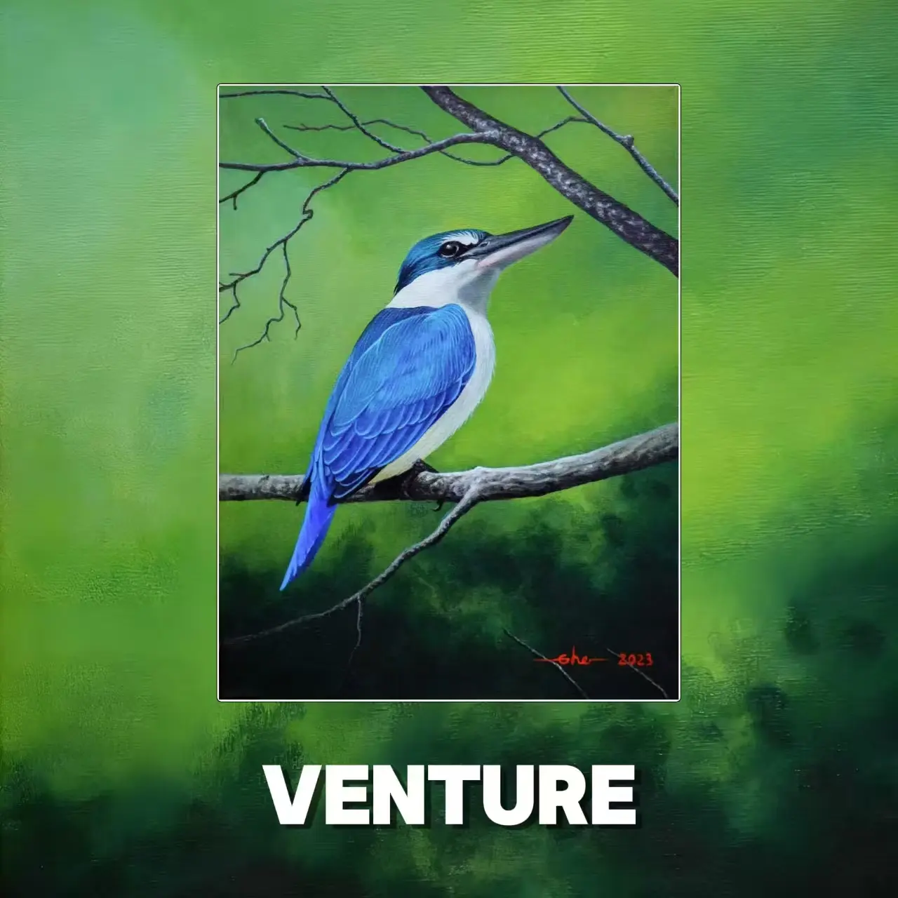 Postcards - Malaysia's Birds Collection (Series 2)