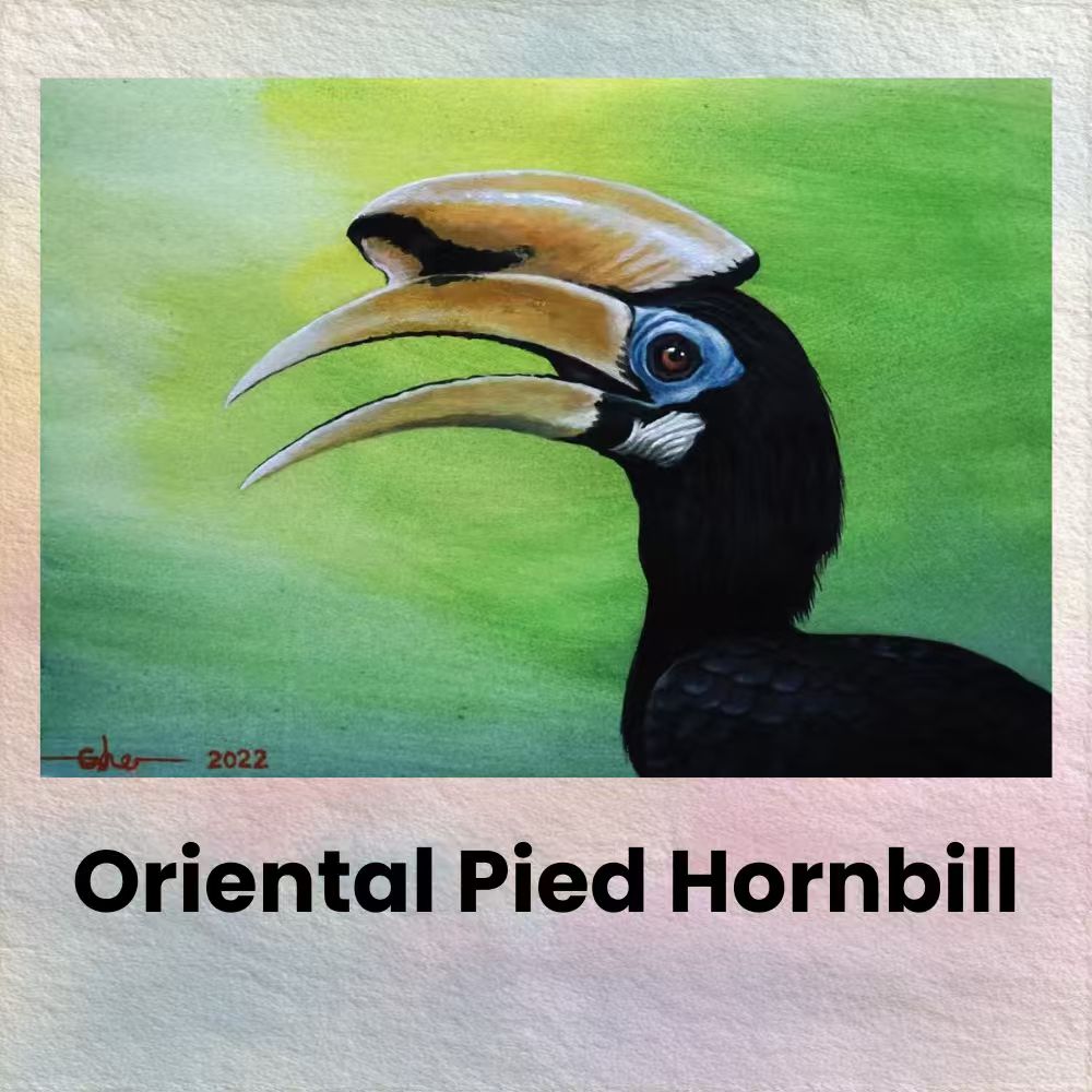 Postcards - Malaysia's Birds Collection (Series 3)