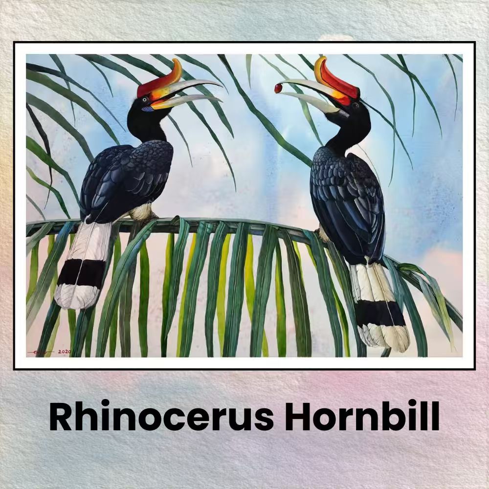 Postcards - Malaysia's Birds Collection (Series 3)