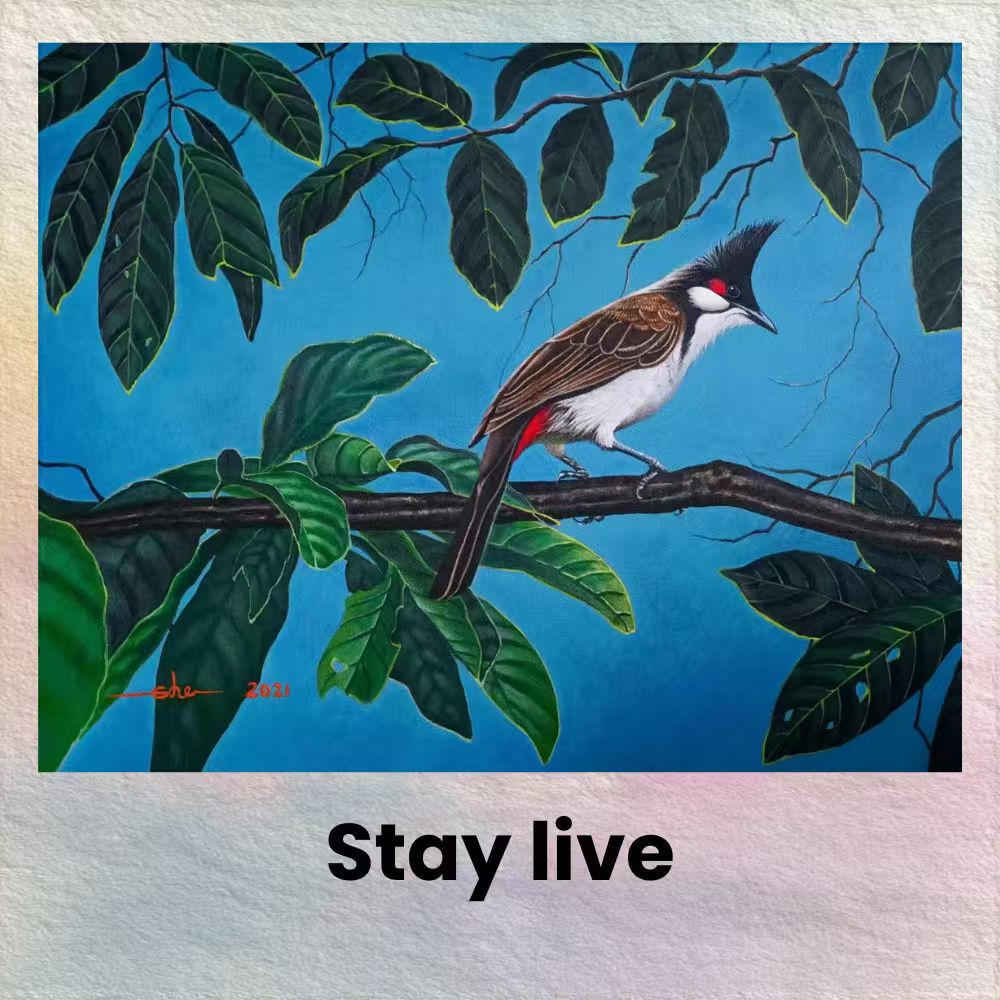 Postcards - Malaysia's Birds Collection (Series 3)