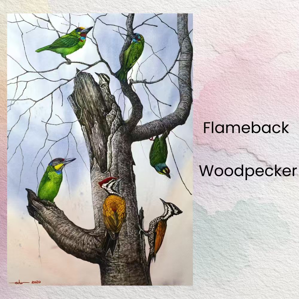 Postcards - Malaysia's Birds Collection (Series 1)