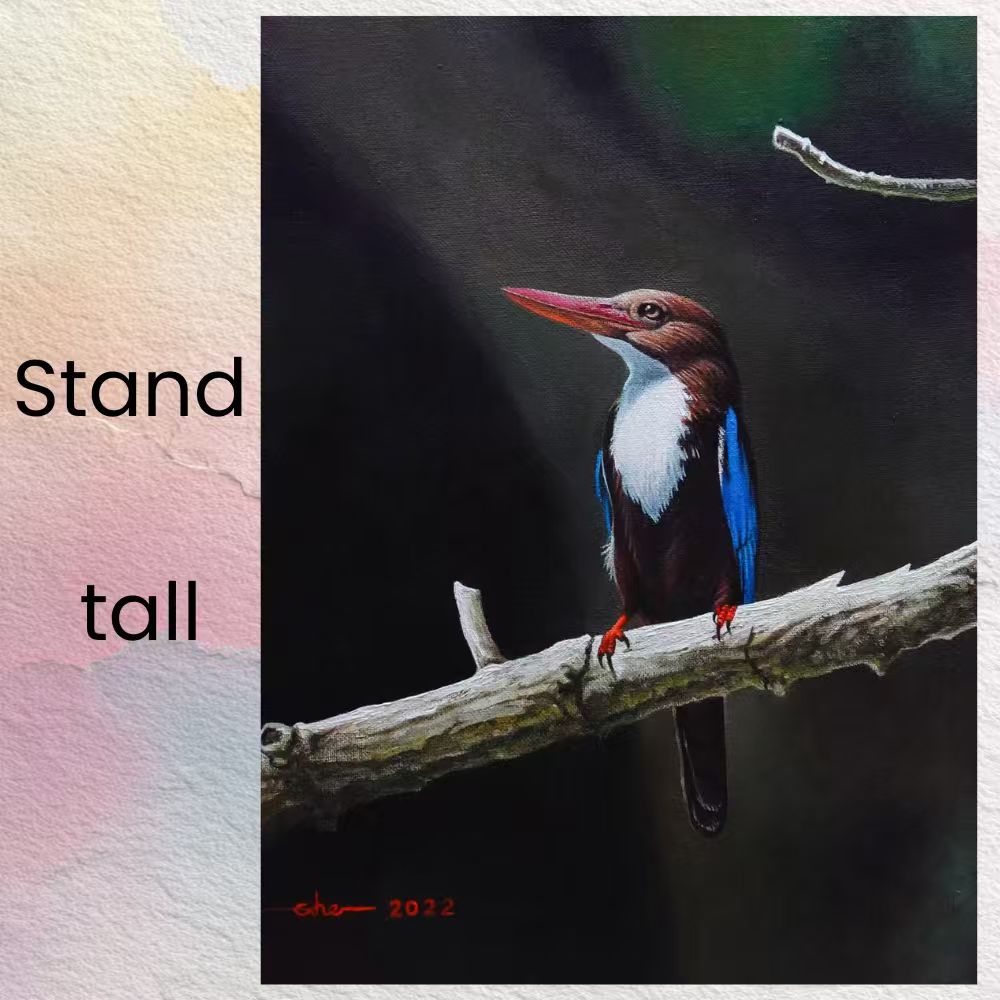 Postcards - Malaysia's Birds Collection (Series 1)