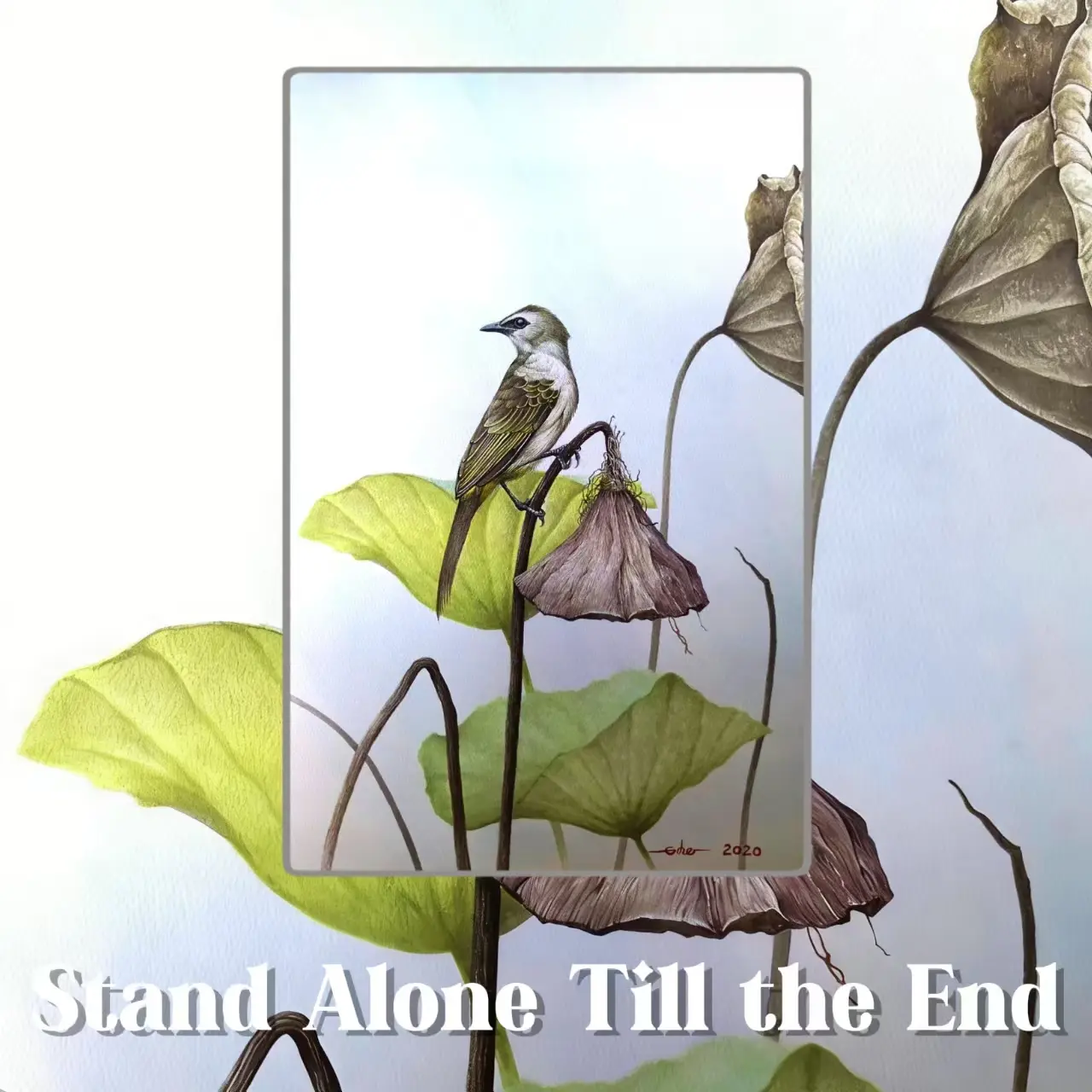 Postcards - Taiping's Birds Collection