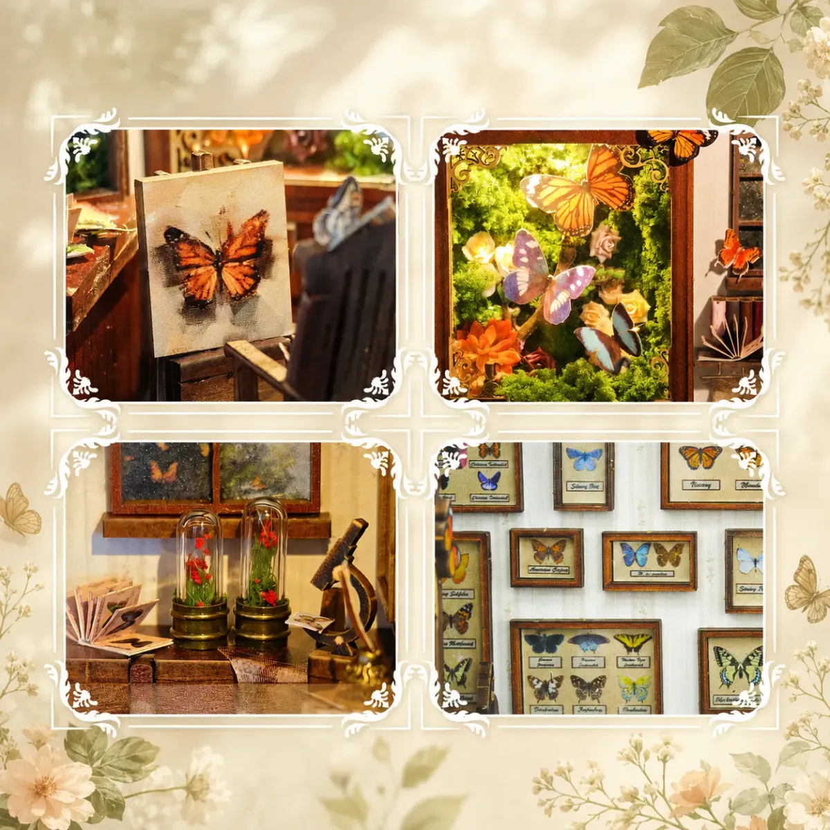 Butterfly Collection Wall Display