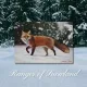 Cartes postales - Collection Faune