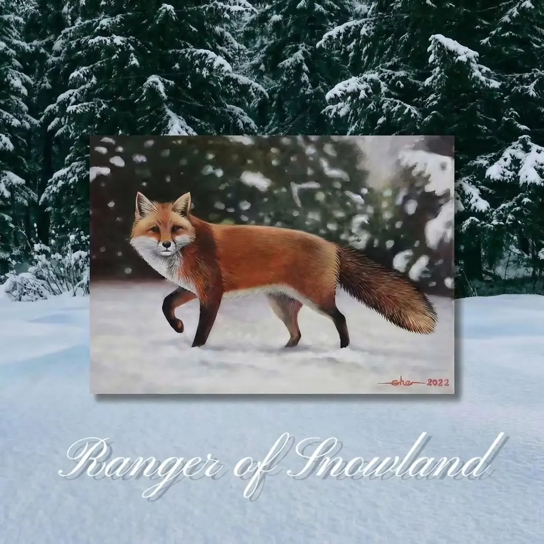 Postcards - Wildlife Collection