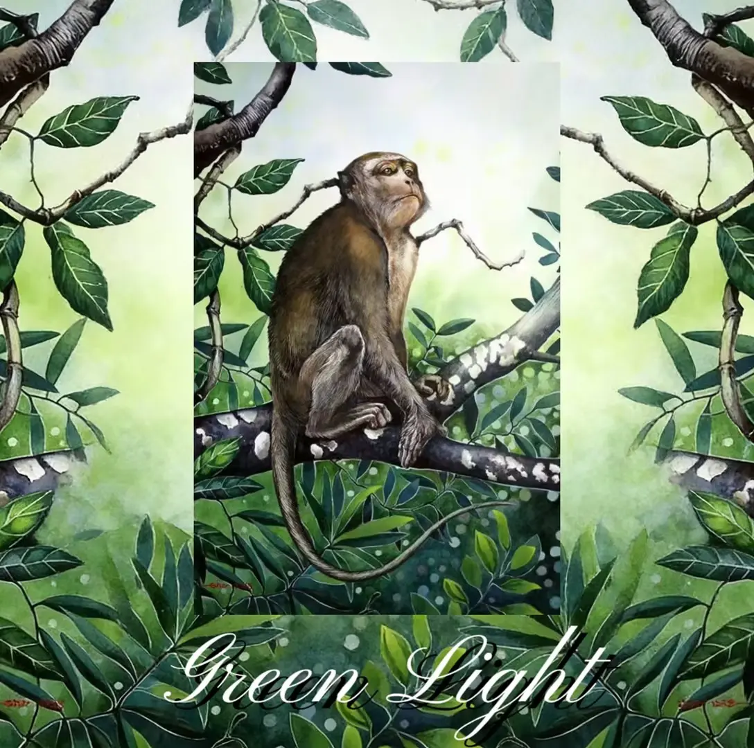 Postcards - Wildlife Collection