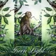 Cartes postales - Collection Faune