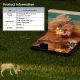 Cherry Blossoms 3D Memo Pad | Desk Decoration -Book Nook World