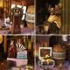 Aden Pirate Ship DIY Book Nook Kit-Book Nook World