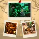 The Monster's House | DIY Book Nook Kit-Book Nook World