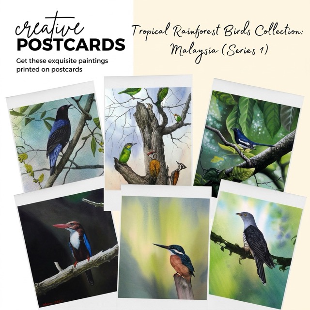 Postcards - Malaysia's Birds Collection (Series 1)