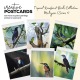 Postcards - Malaysia's Birds Collection (Series 1)