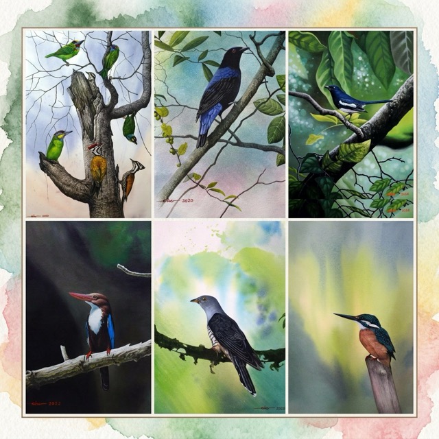 Postcards - Malaysia's Birds Collection (Series 1)