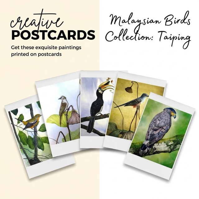 Postcards - Taiping's Birds Collection