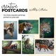 Postkarten – Wildtierkollektion
