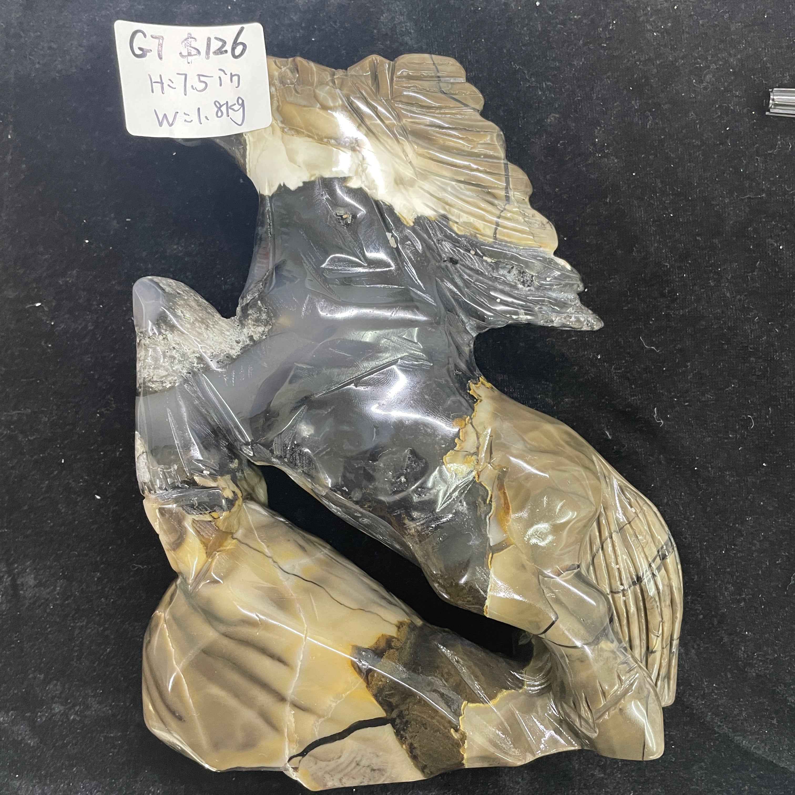 Statement Piece(G Section)