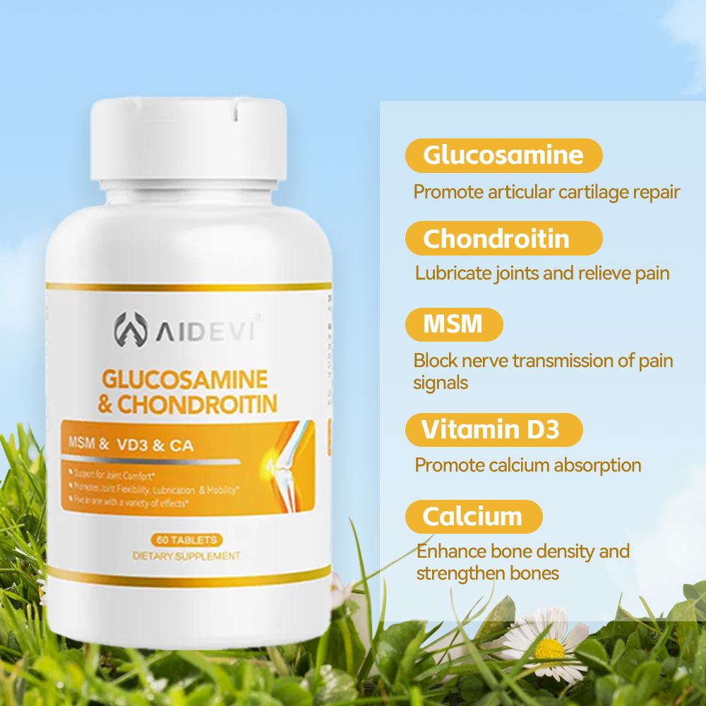Glucosamine & Chondroitin MSM Joint Support Supplement