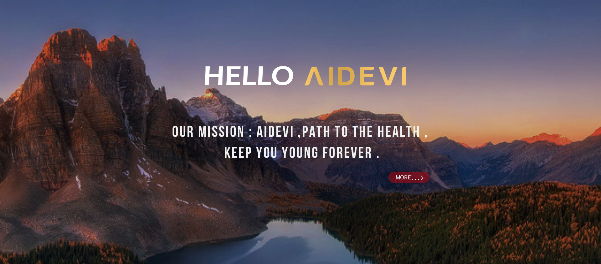 AIDEVI Official Mall: Your One-Stop Shop for All Your Needs-AIDEVI