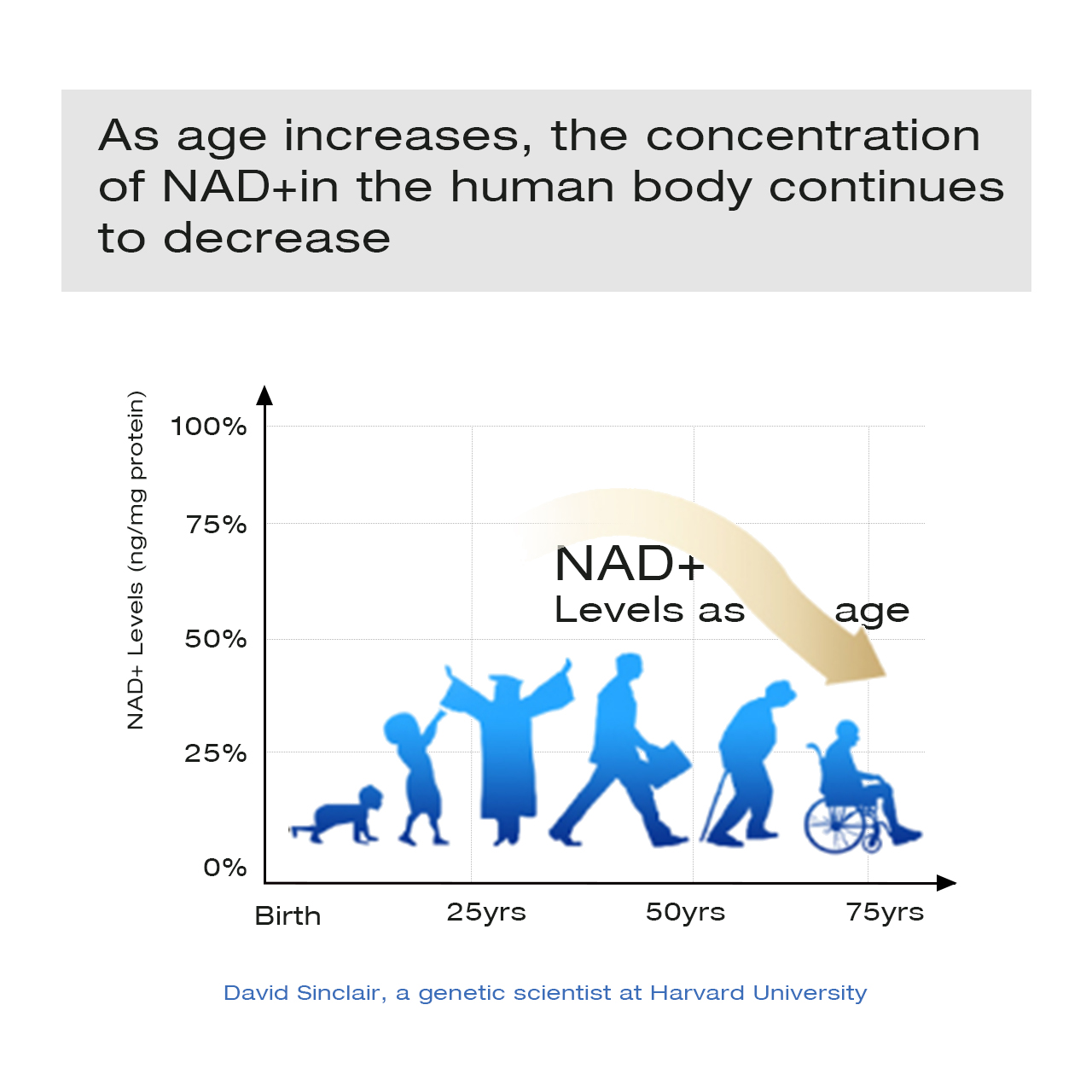 (NMN Alternative ) AIDEVI NAD+ 15000 Supplement Nicotinamide Adenine Dinucleotide-AIDEVI
