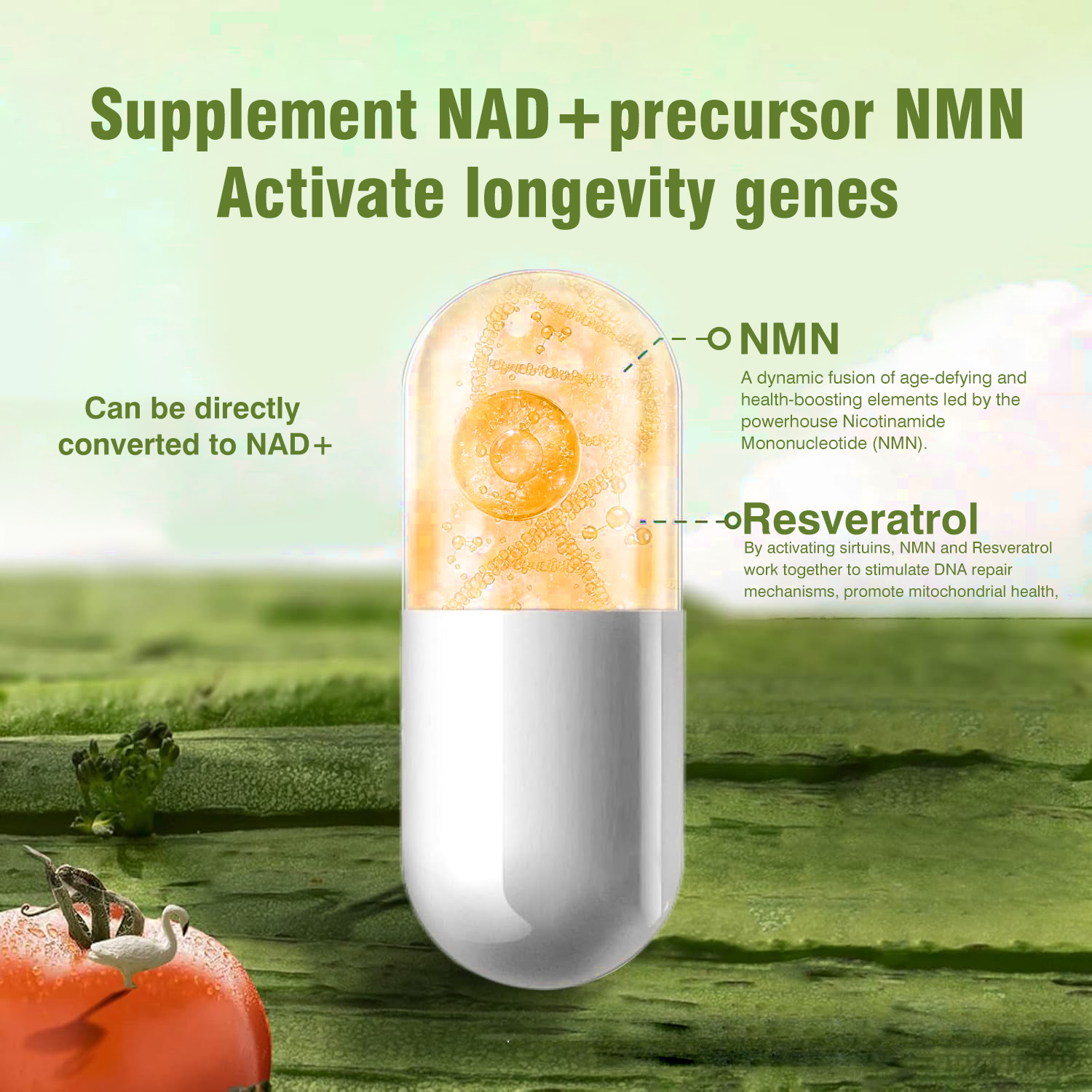 NMN 21000 Supplement | Anti-aging-AIDEVI