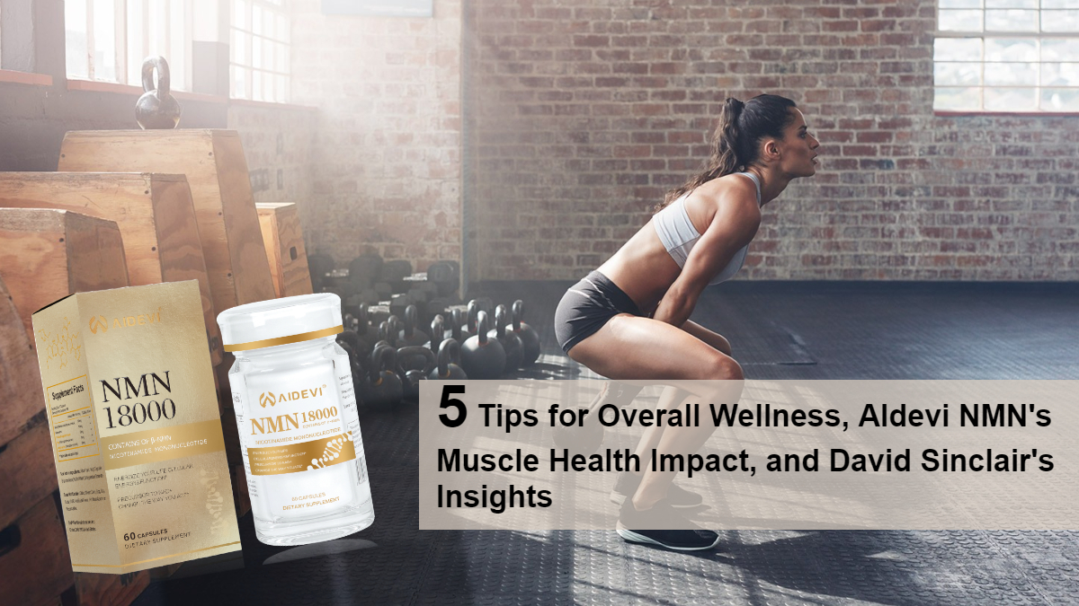 Celebrity Fitness Secrets: 5 Tips for Overall Wellness, AIdevi NMN's Muscle Health Impact, and David Sinclair's Insights-AIDEVI