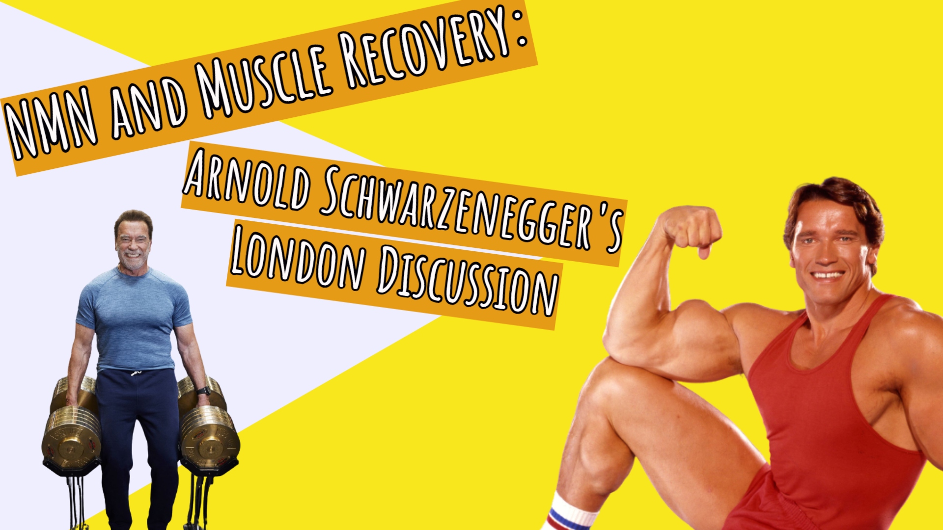NMN and Muscle Recovery: Arnold Schwarzenegger's London Discussion-AIDEVI