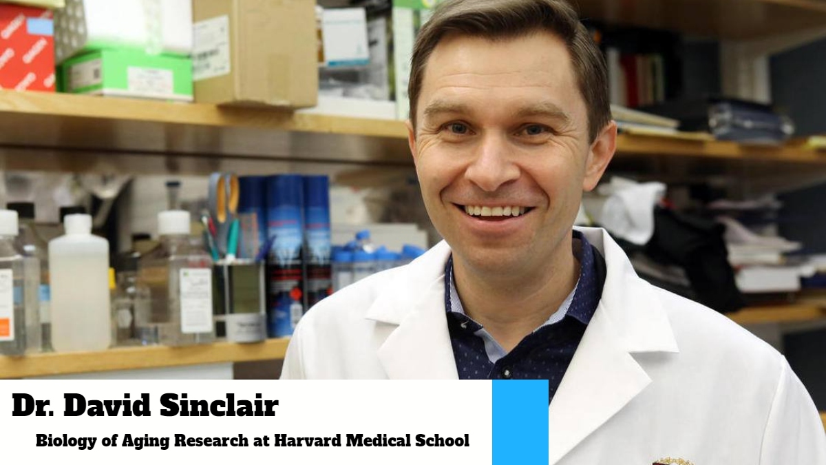 Dr. David Sinclair's Anti-Aging Breakthroughs and AIDEVI's Commitment to High-Quality NMN Supplements-AIDEVI