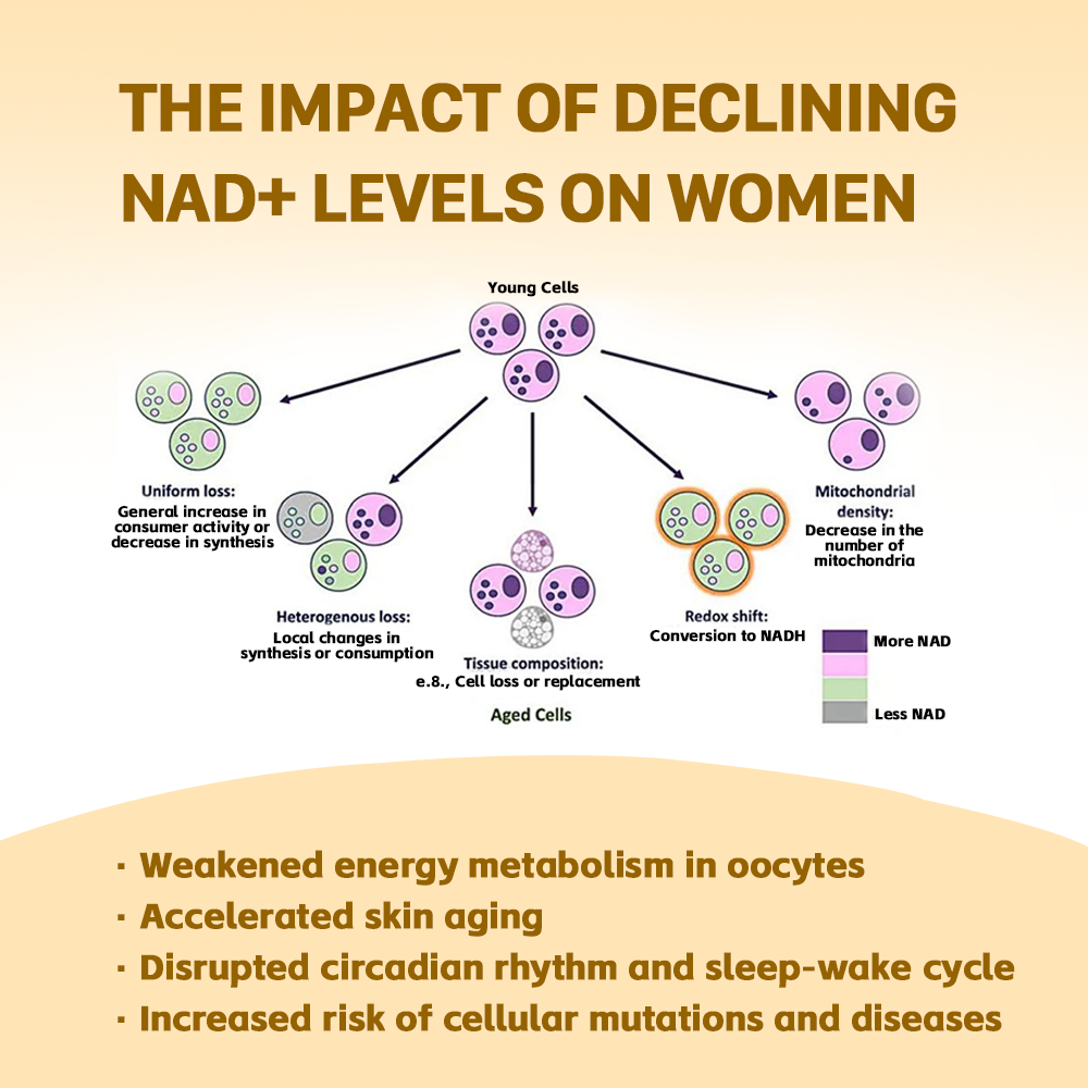 NMN 18000 Supplement | Anti-aging Energy Booster