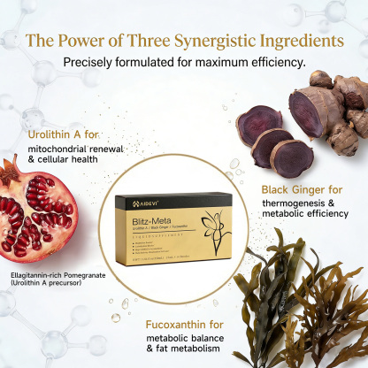 AIDEVI Blitz-Meta | Metabolism Booster & Urolithin A Liquid