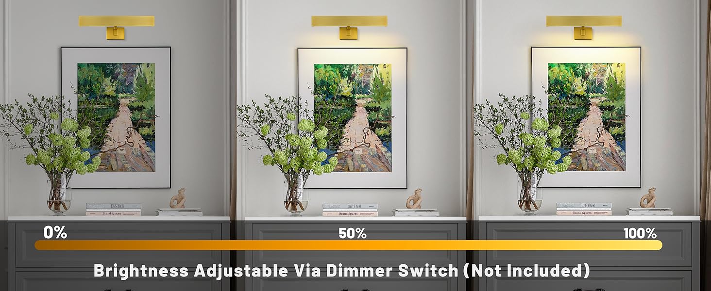 Dimmable Art Lighting for Paintings