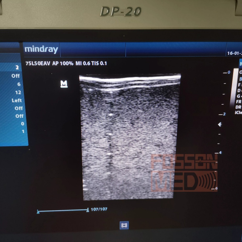 Compatible New Mindray 75L50EAV Vet Linear Array Ultrasound Probe Transducer for DP-10vet.Mindray DP-20vet.Z5vet.DP-50vet.DP-3300vet.DP-6600vet.DP-6900vet 