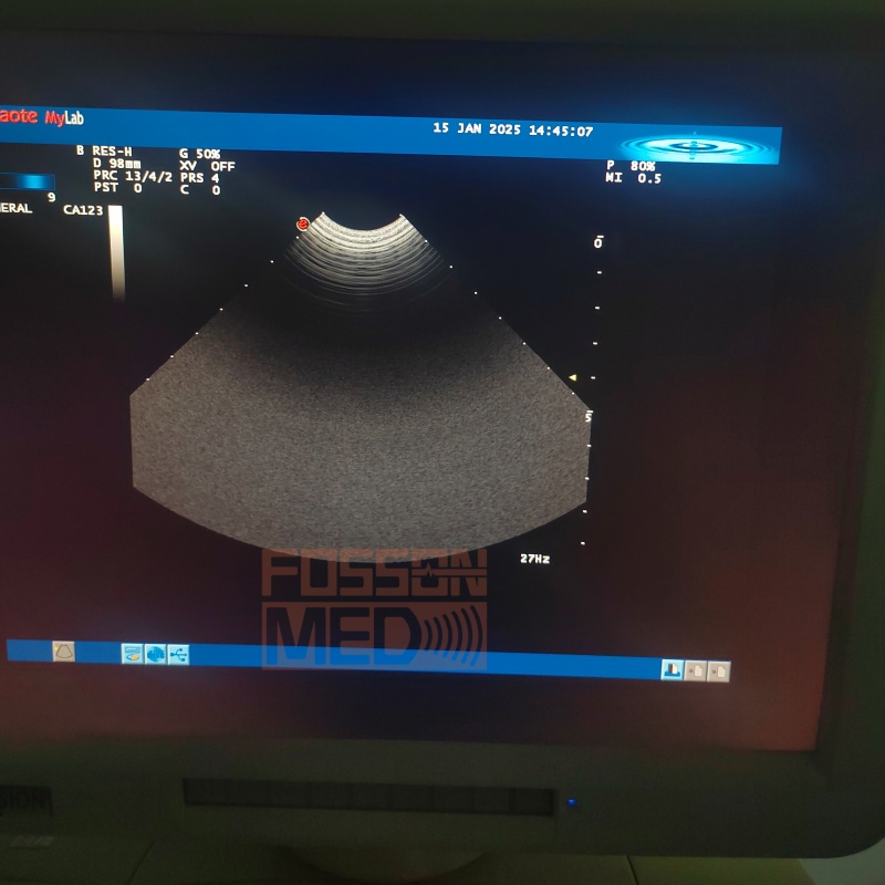 Compatible New Esaote CA123 Convex Ultrasound Probe for Mylab 20 Mylab 25 Mylab 30 Mylab 40 Mylab 70 Mylab 90-FOSSONMED