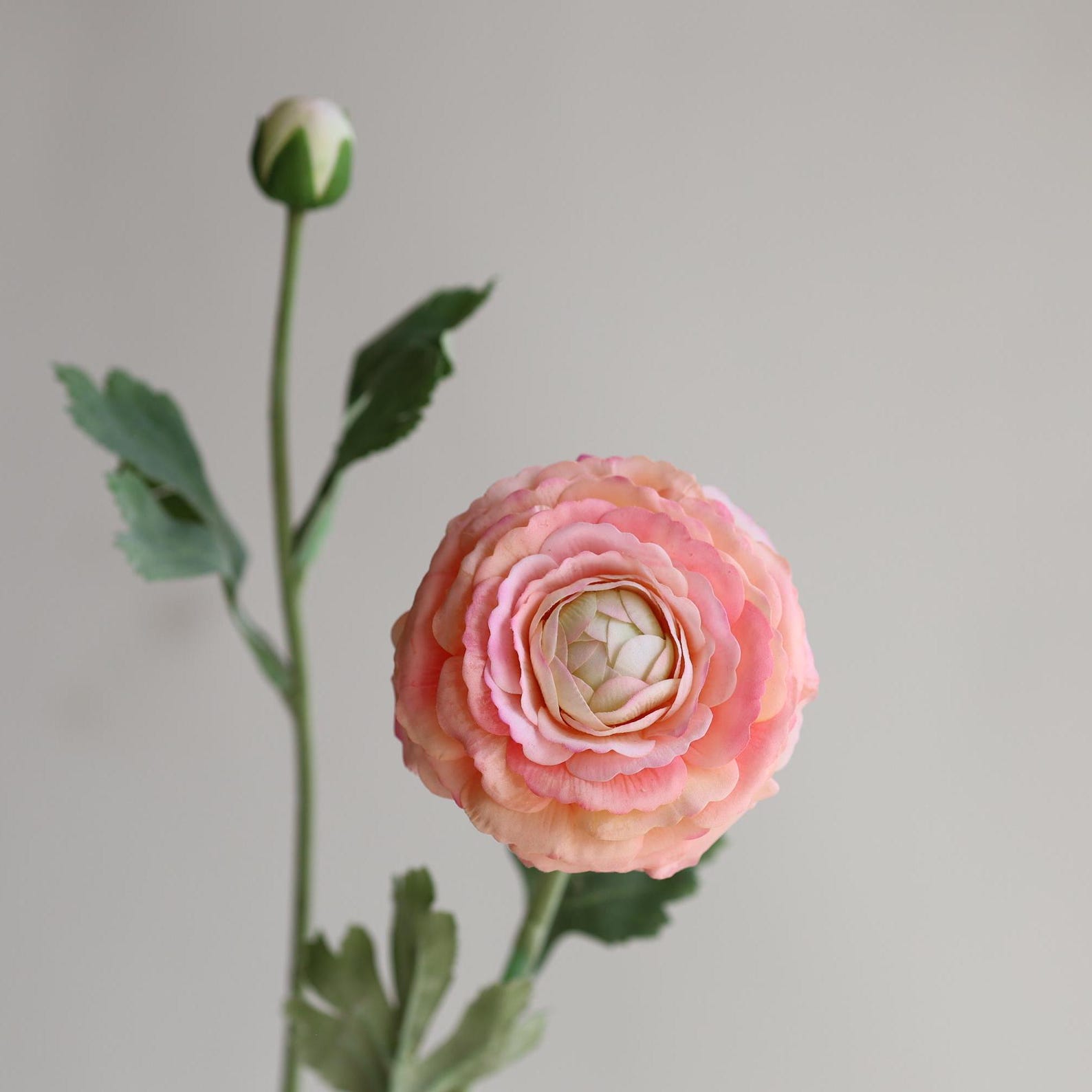18.9 Real Touch Fake Ranunculus in Peach Pink