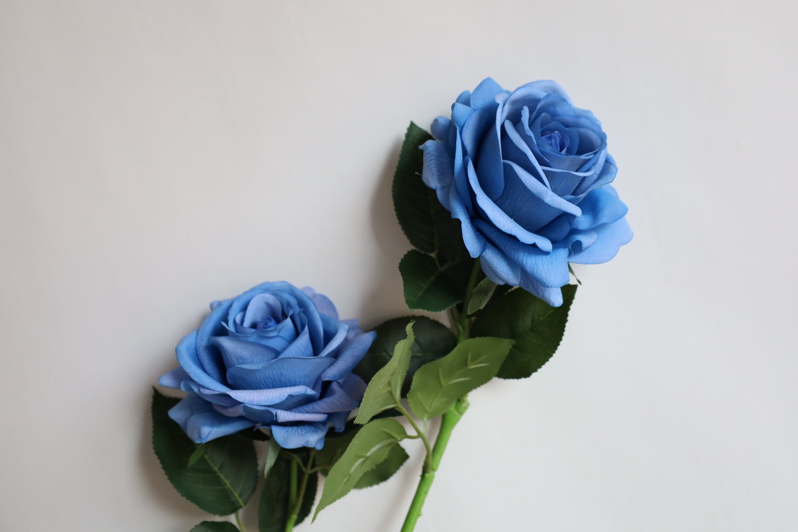 17 Dusty Blue Real Touch Faux Roses