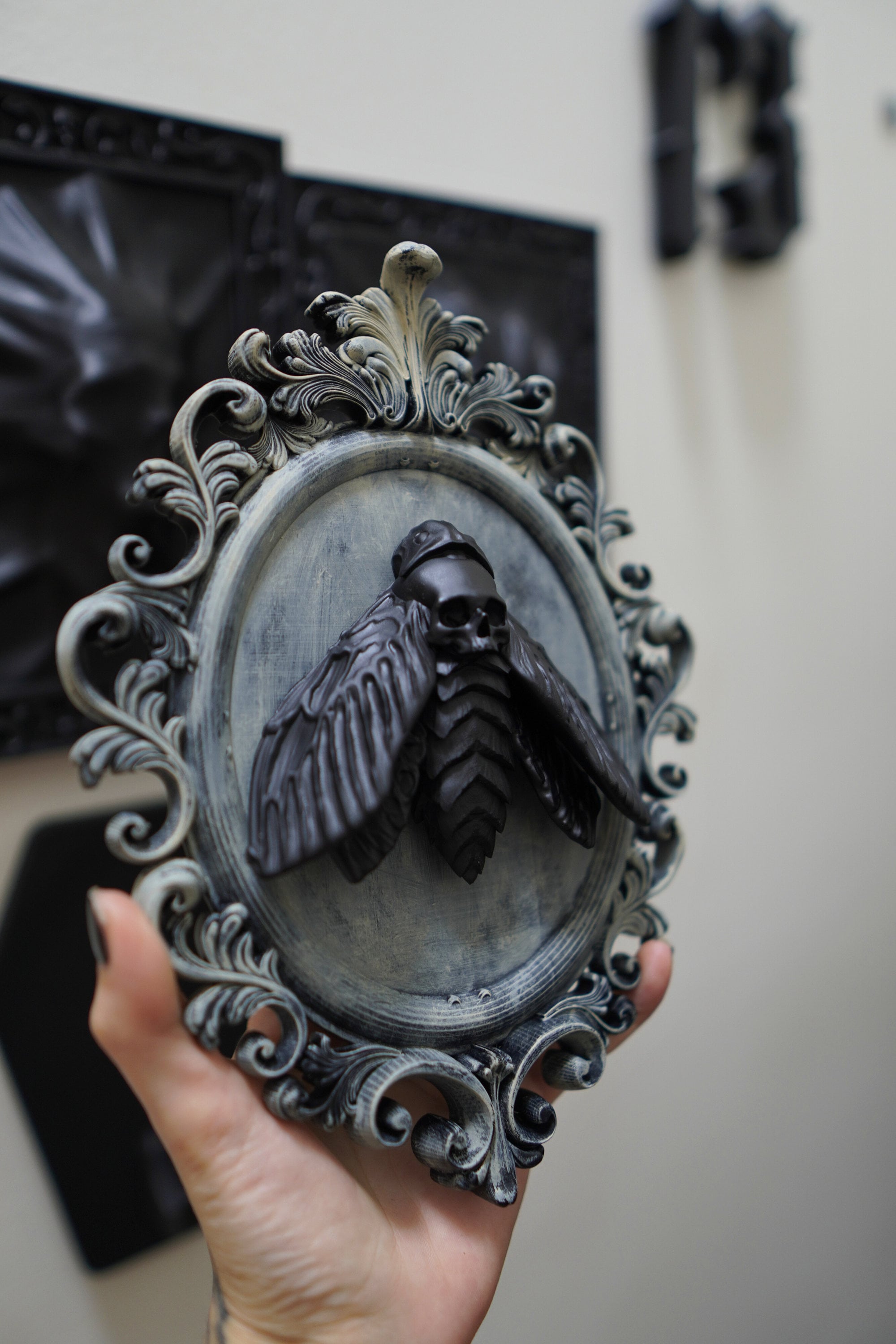 Framed moth/Deaths head moth/Goth decor