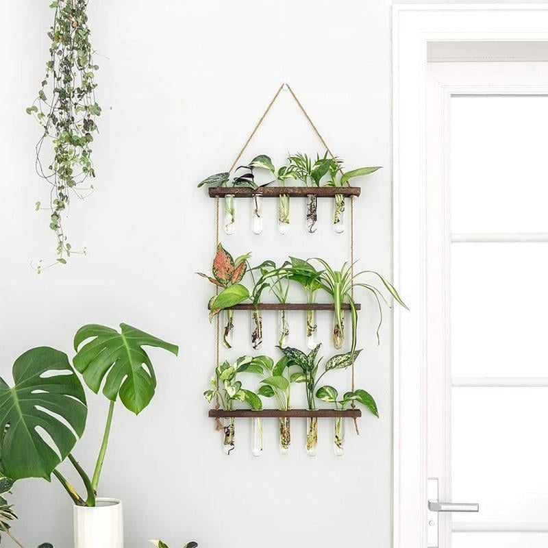 🌱3-Tiered Hanging Plant Propagation Station
