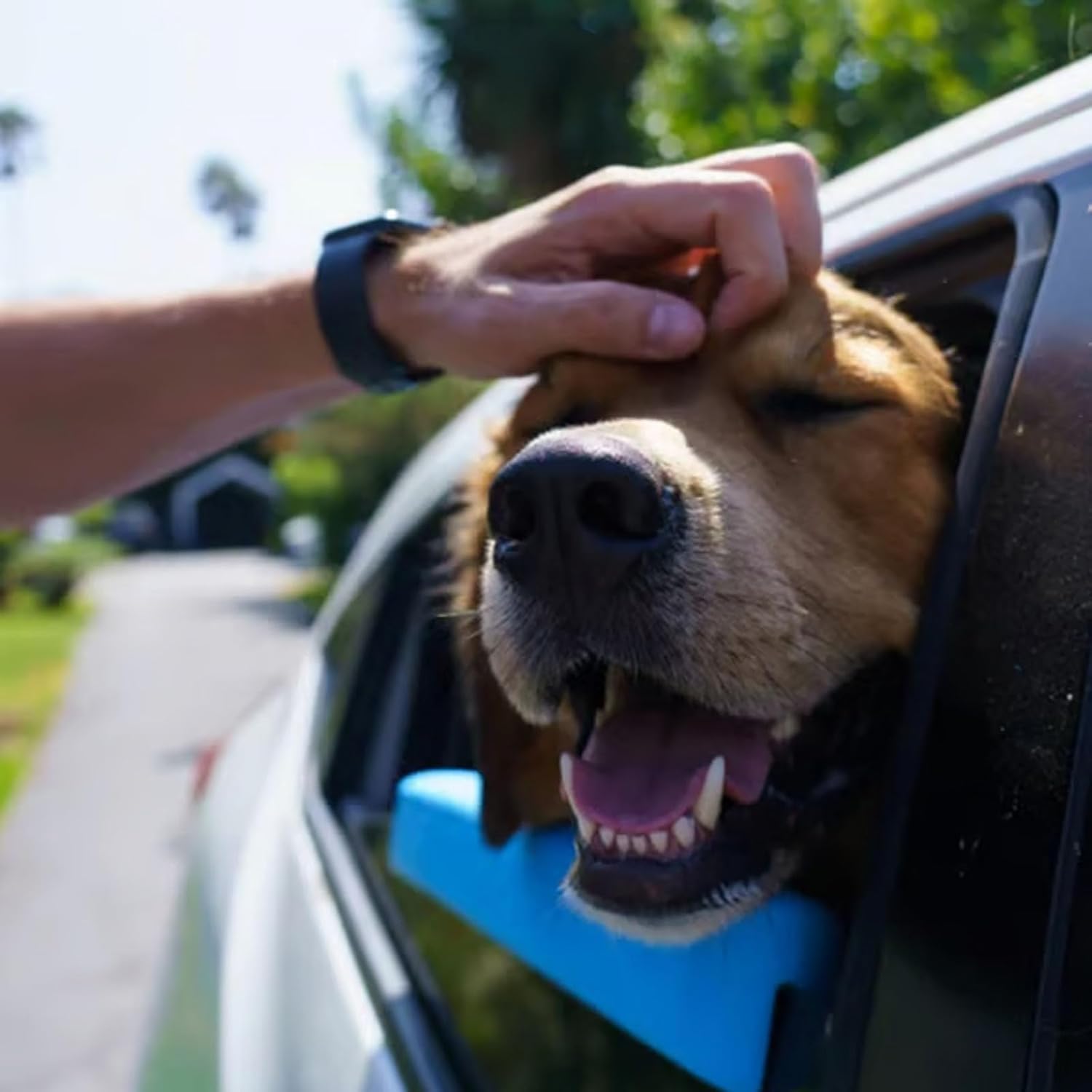 Car Window Chin Rest for Dogs Universal Pet - Blue