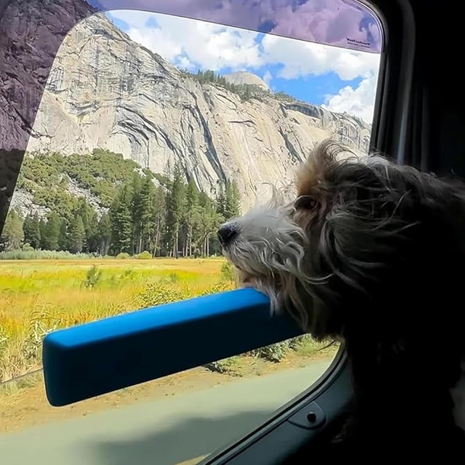 Car Window Chin Rest for Dogs Universal Pet - Blue