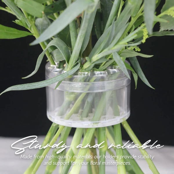 💕49% OFF🎁Spiral Ikebana Stem Holder💐