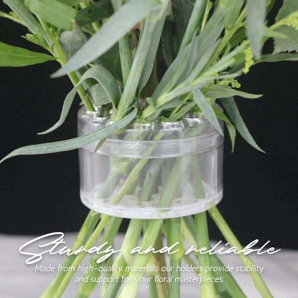 💕49% OFF🎁Spiral Ikebana Stem Holder💐