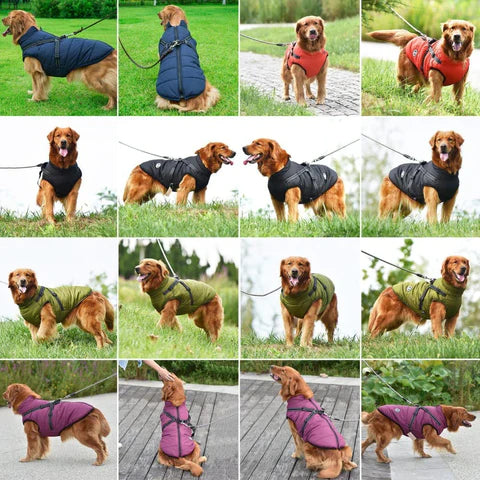 Pawbibi™ - Waterproof Winter Jacket with Built-in Harness